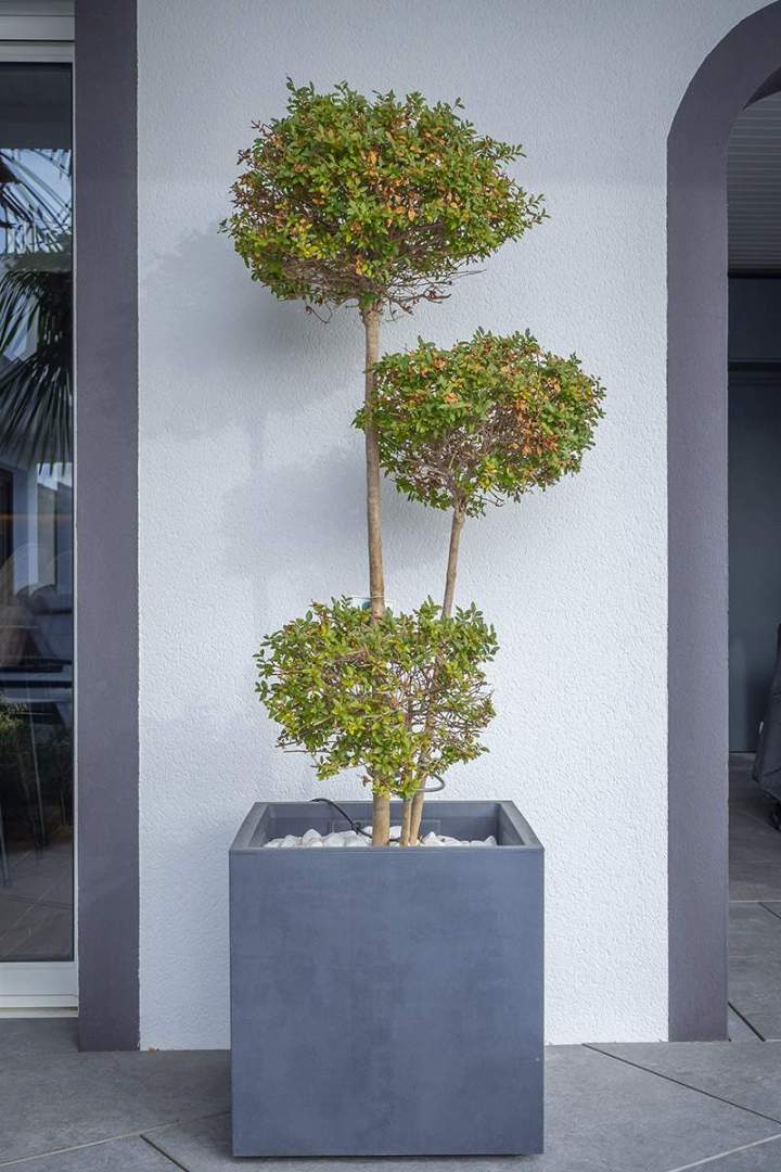 Créateur d’espaces paysagers Clermont-Ferrand